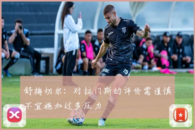 舒梅切尔：对拉门斯的评价需谨慎不宜施加过多压力