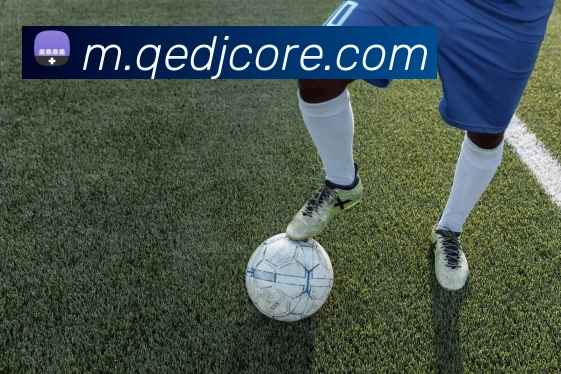 企鹅电竞平台生态图