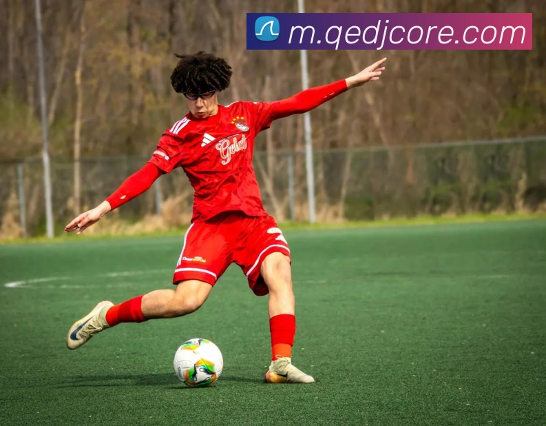 企鹅电竞APP 封面图